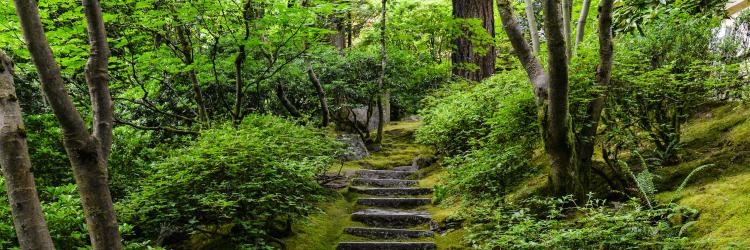 Mindful Leadership Foundation